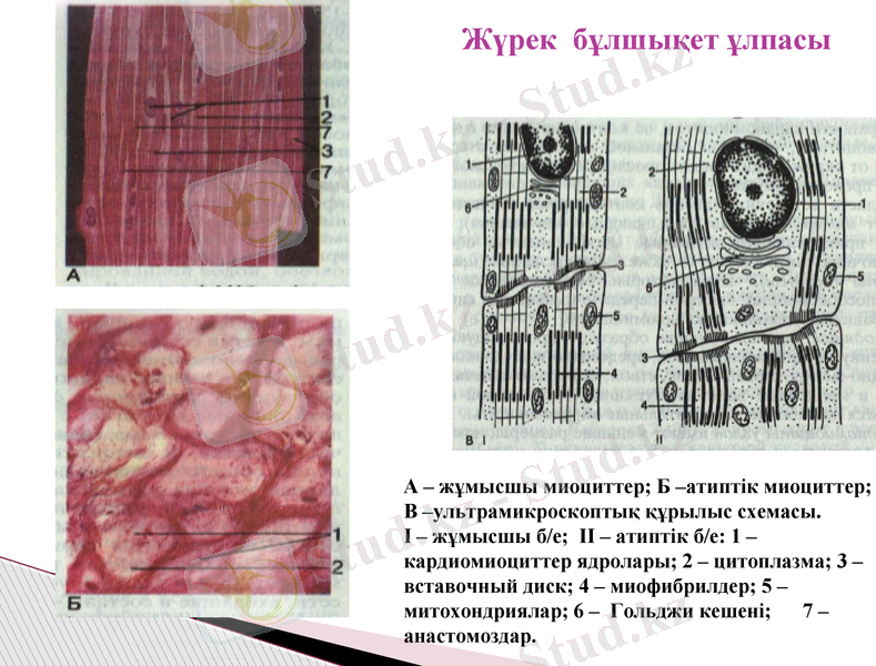 Slide 20
