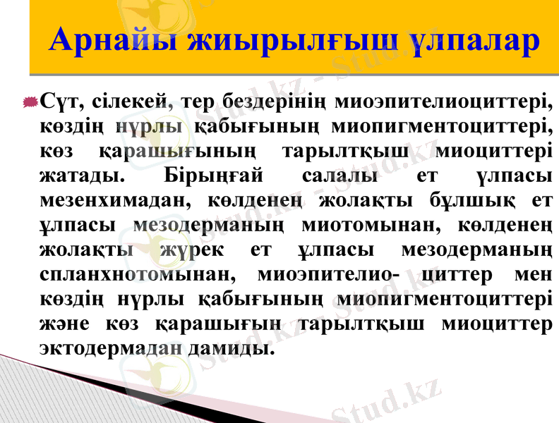 Slide 21