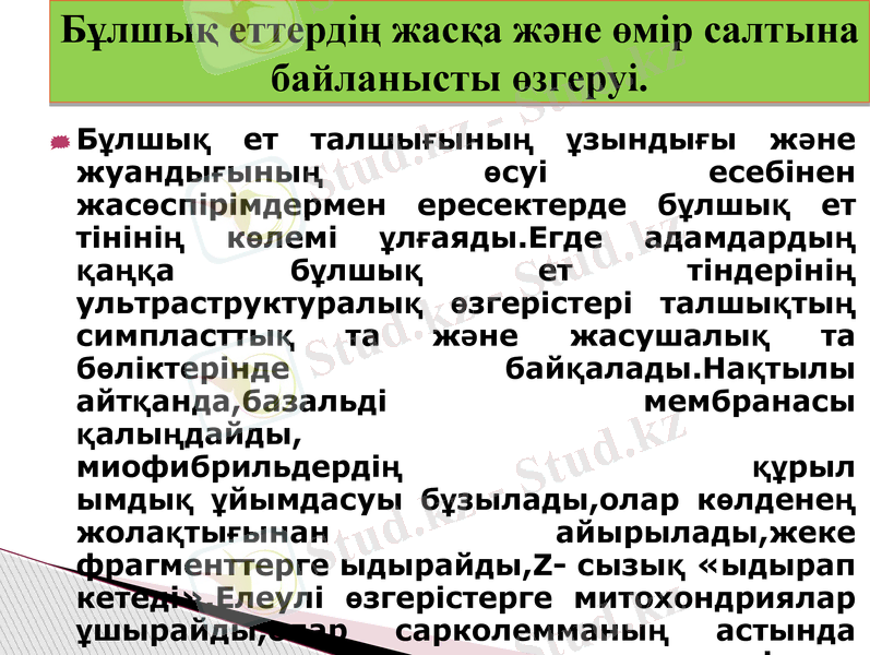 Slide 22