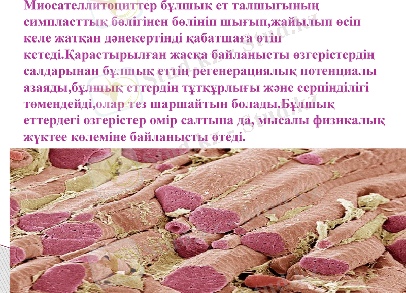 Slide 23