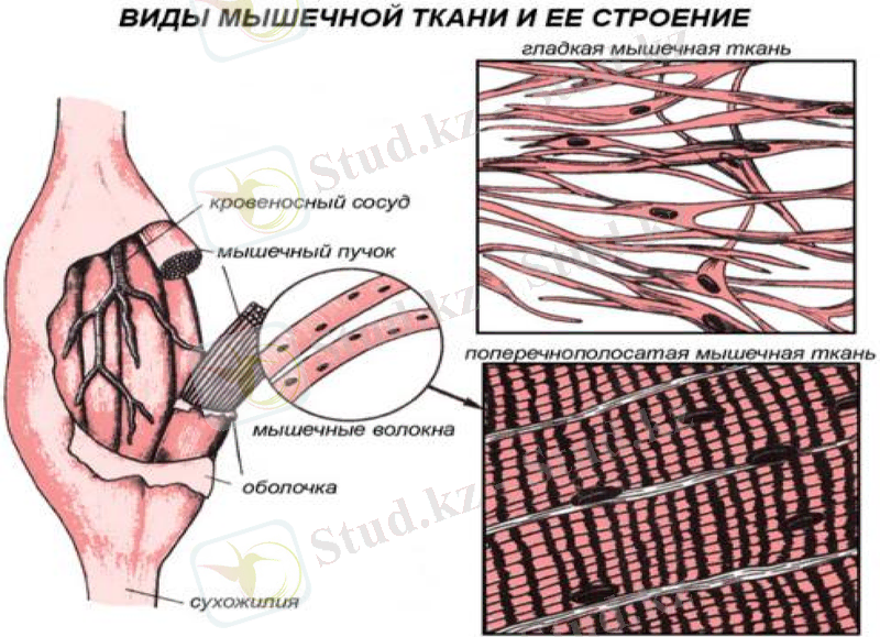 Slide 6