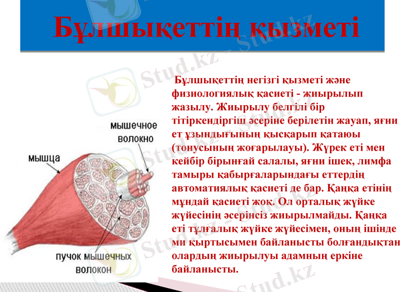 Slide 8