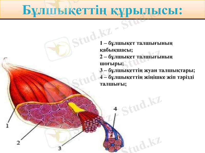 Slide 9