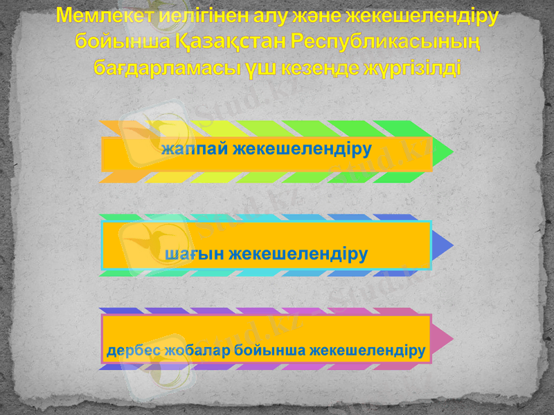 Slide 10