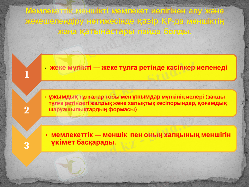 Slide 12