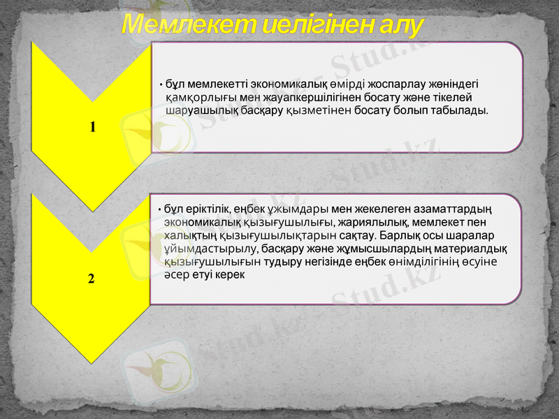 Slide 8