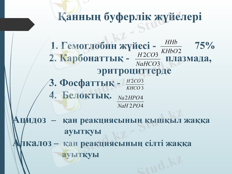 Slide 10