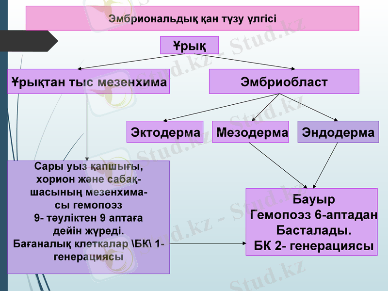 Slide 11
