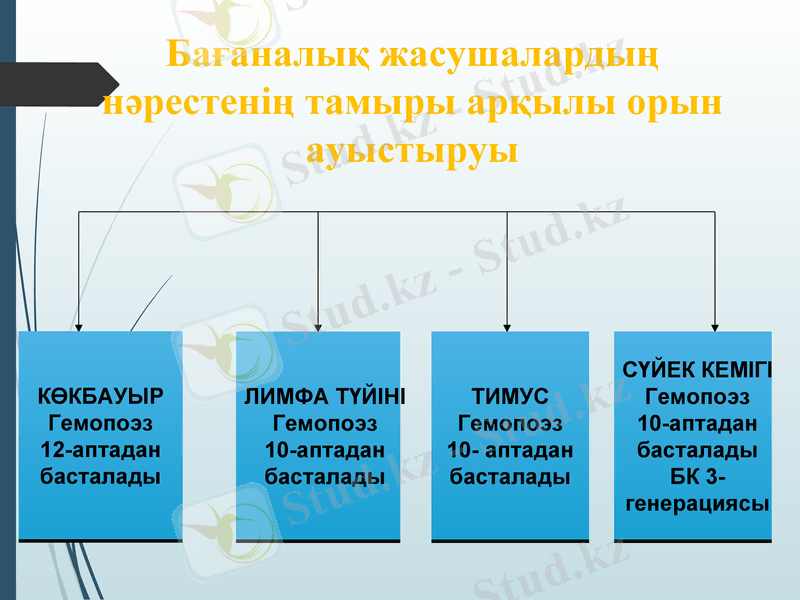 Slide 13