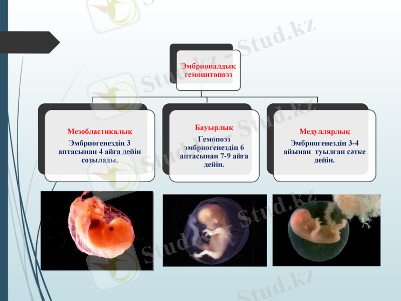 Slide 14
