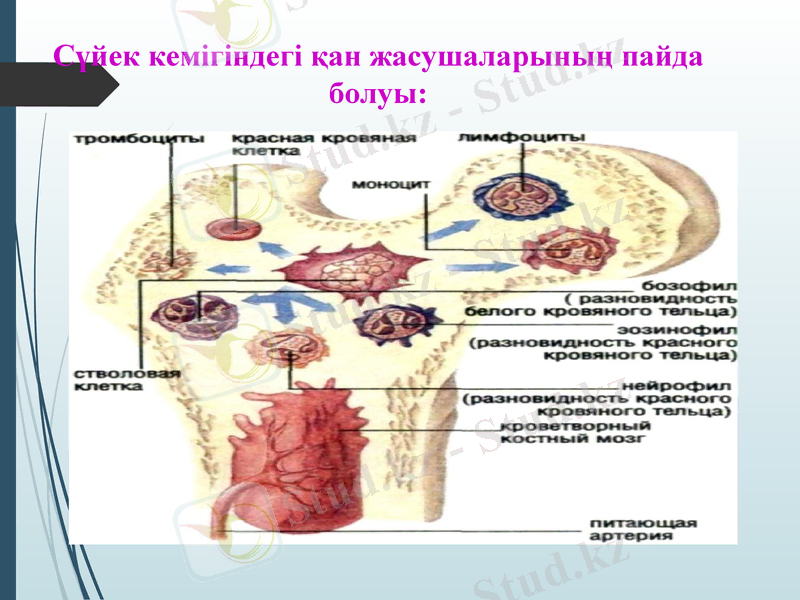 Slide 15