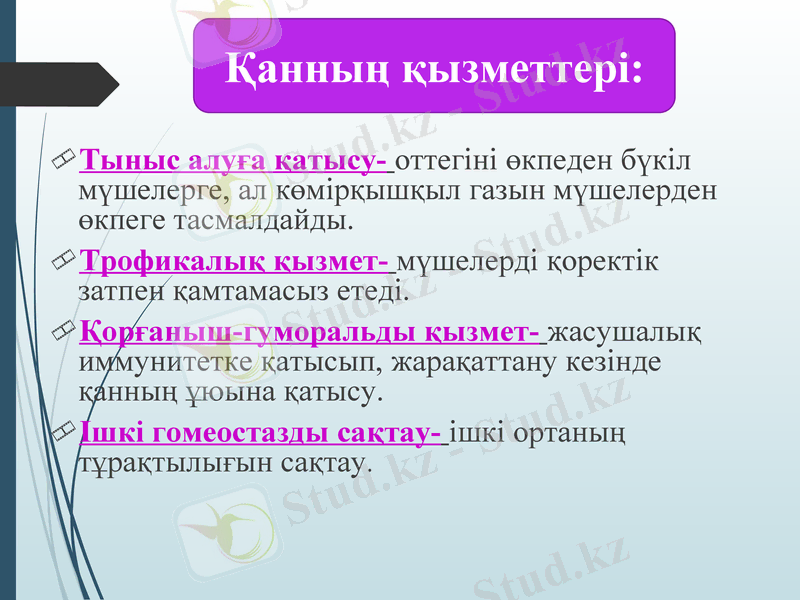 Slide 16