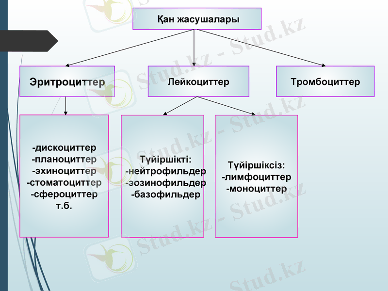 Slide 17