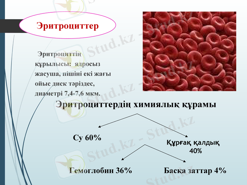 Slide 18