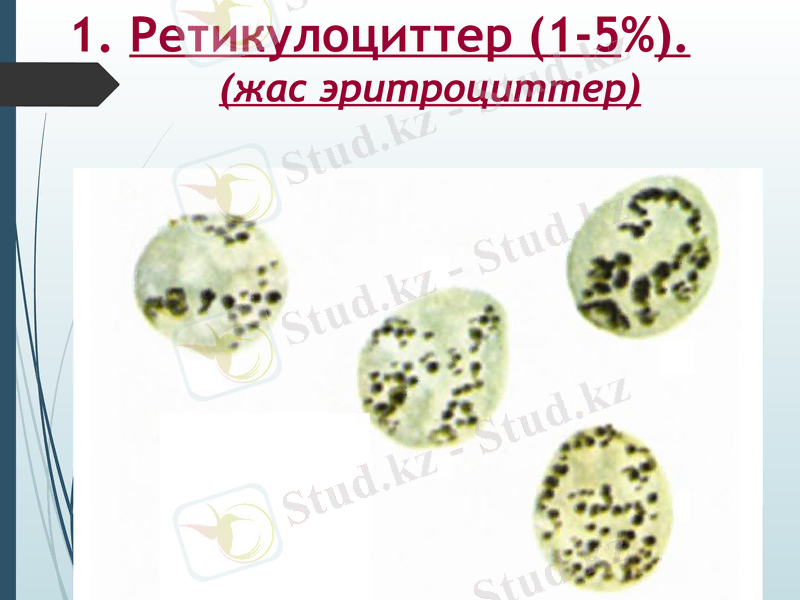 Slide 19