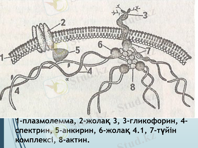 Slide 20