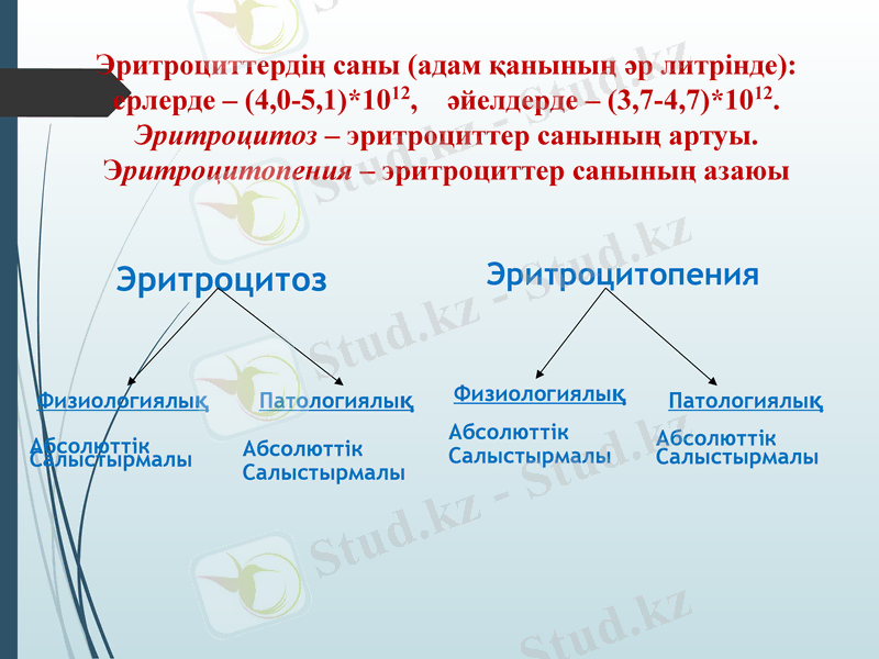 Slide 21