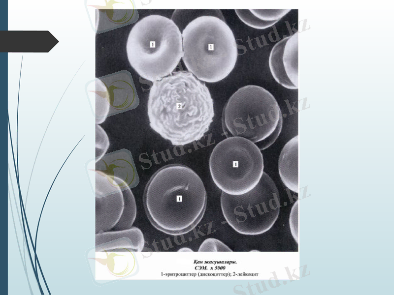 Slide 22
