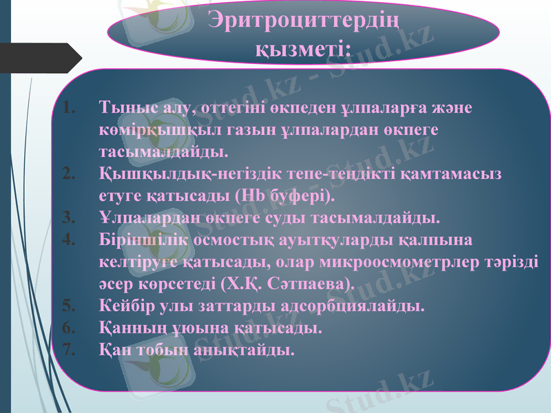 Slide 23