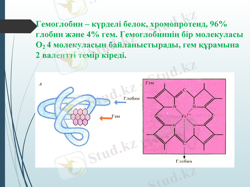 Slide 24