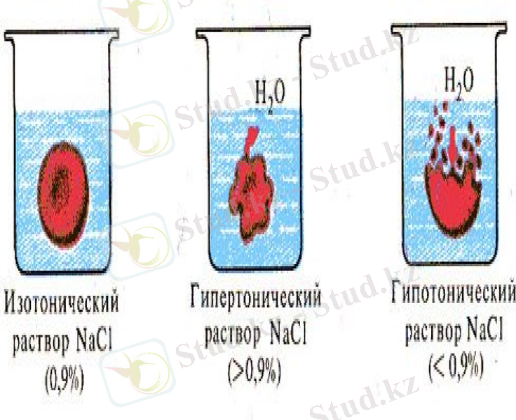 Slide 25