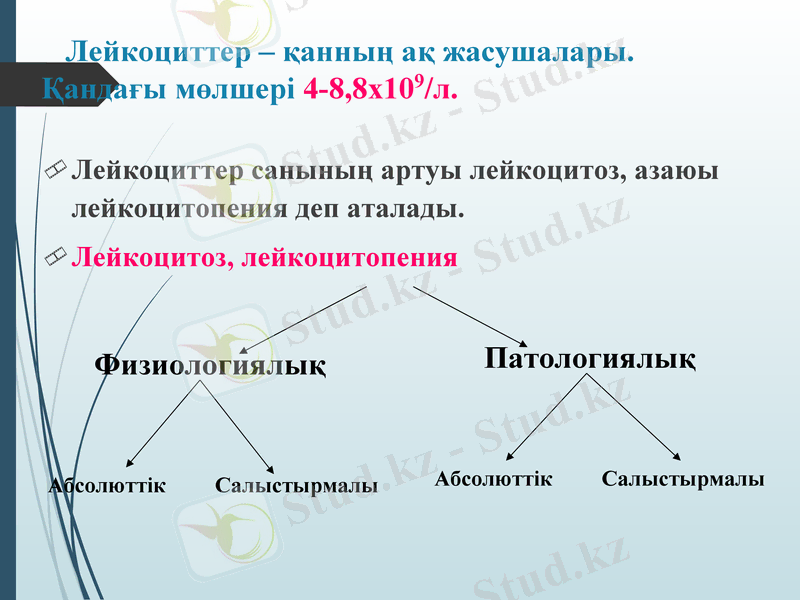Slide 27
