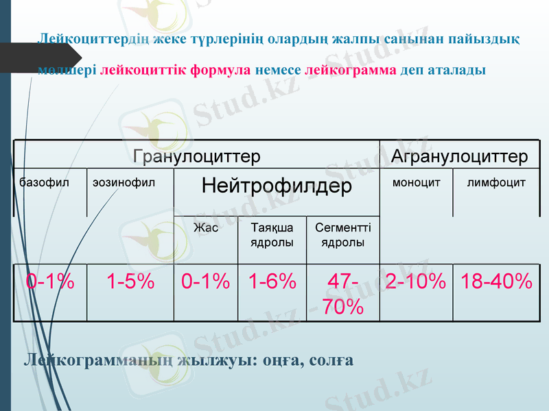 Slide 28