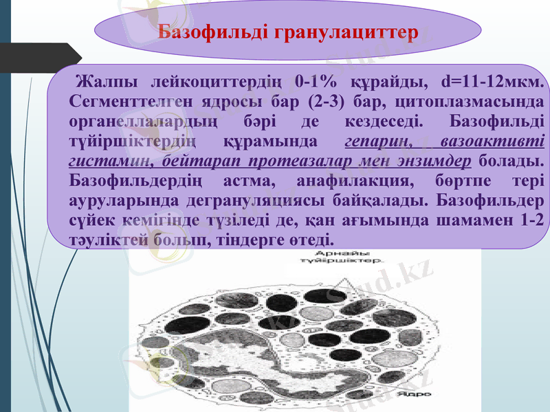Slide 30