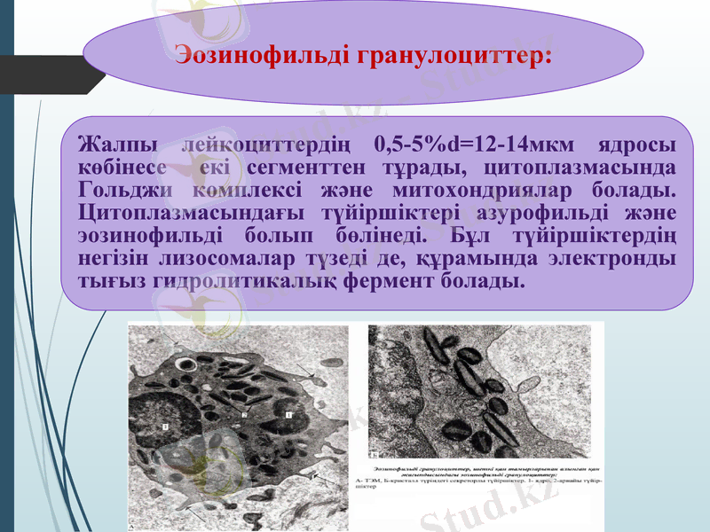 Slide 31