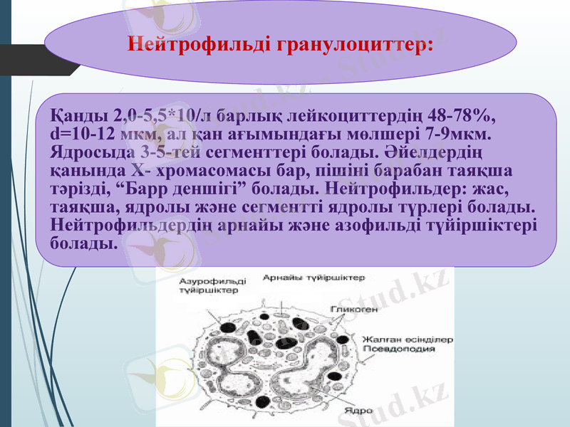Slide 32
