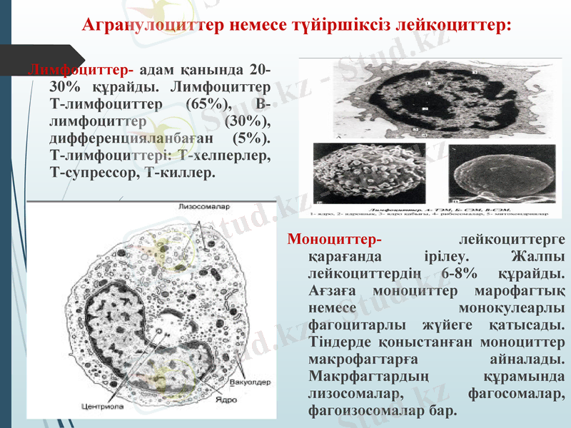 Slide 33