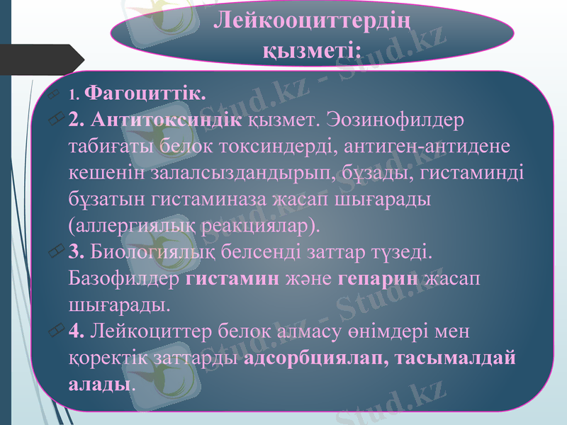 Slide 34