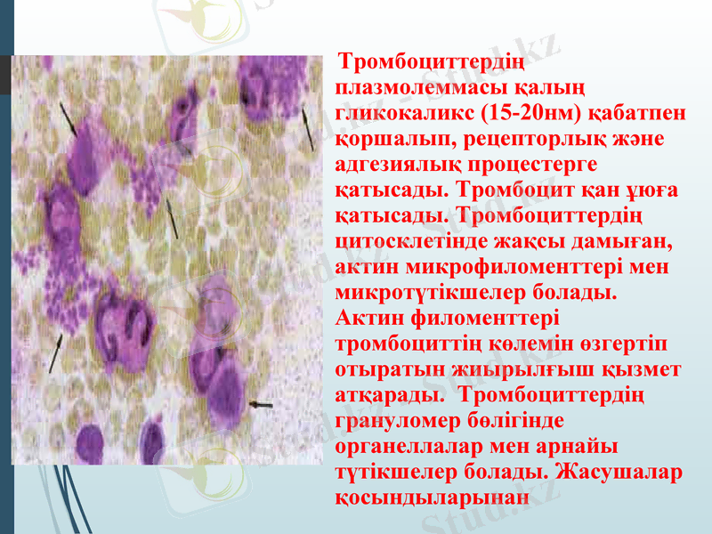 Slide 35