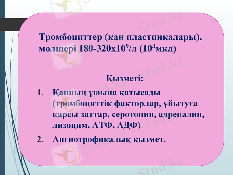 Slide 36