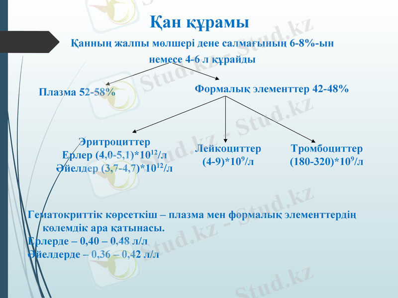 Slide 7