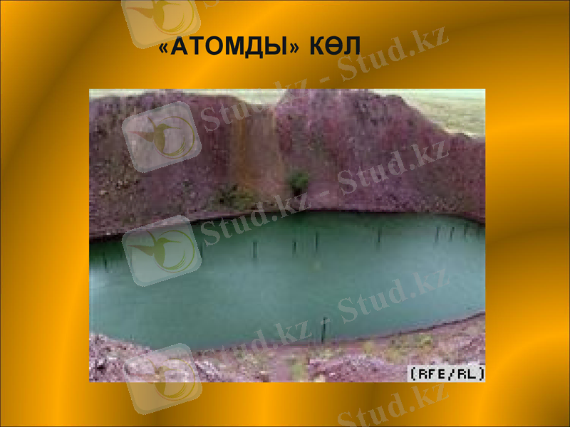 Slide 11