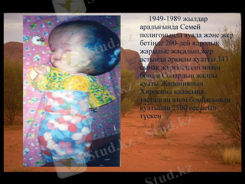 Slide 12