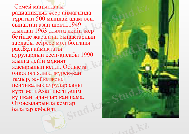 Slide 13