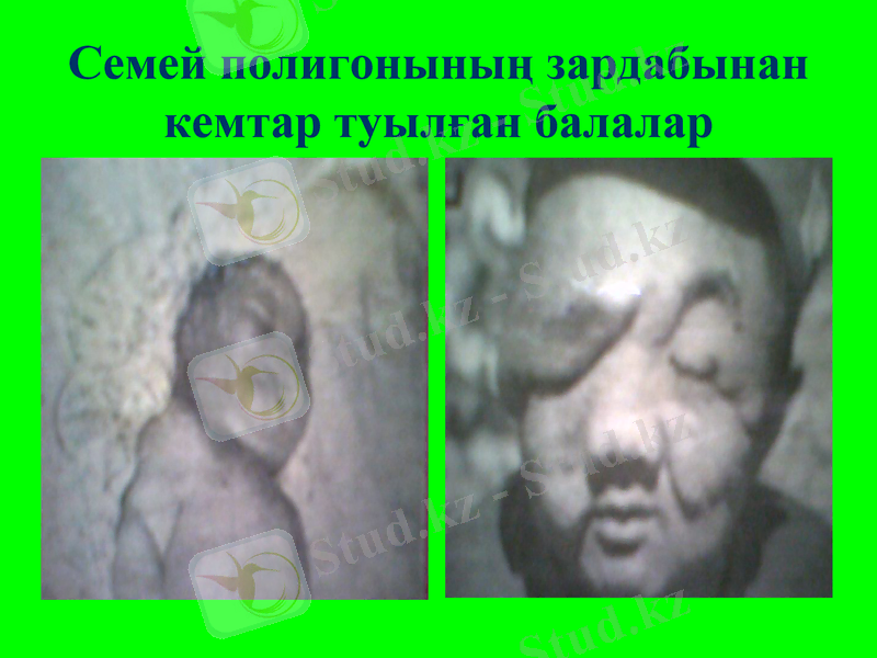 Slide 14