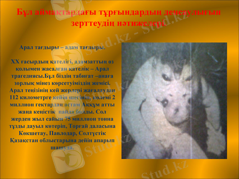 Slide 17