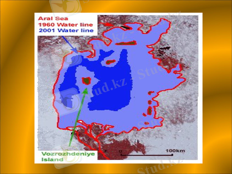 Slide 22