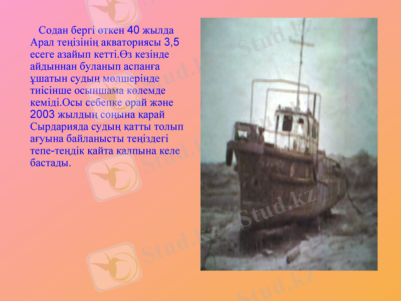 Slide 24