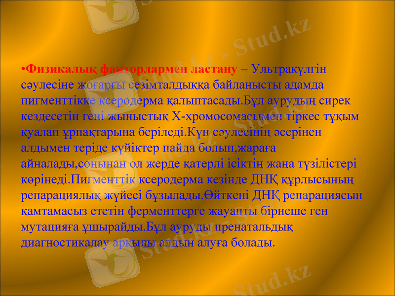 Slide 7