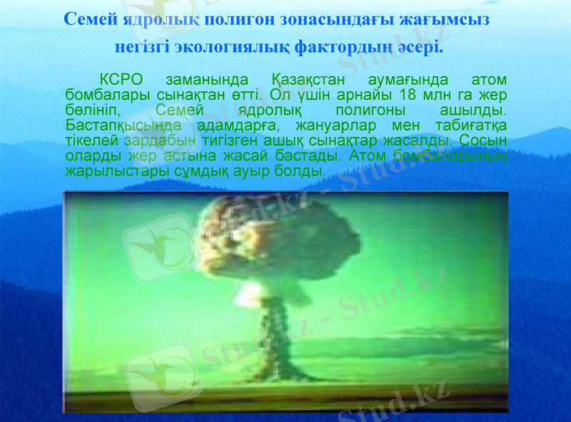 Slide 8