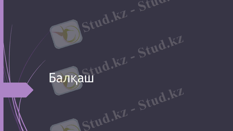 Slide 1