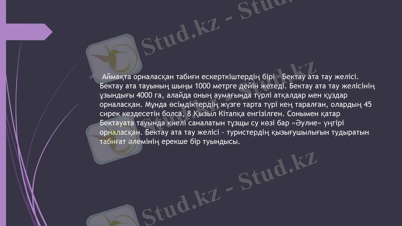 Slide 8