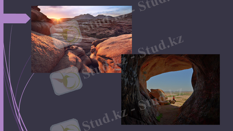 Slide 9
