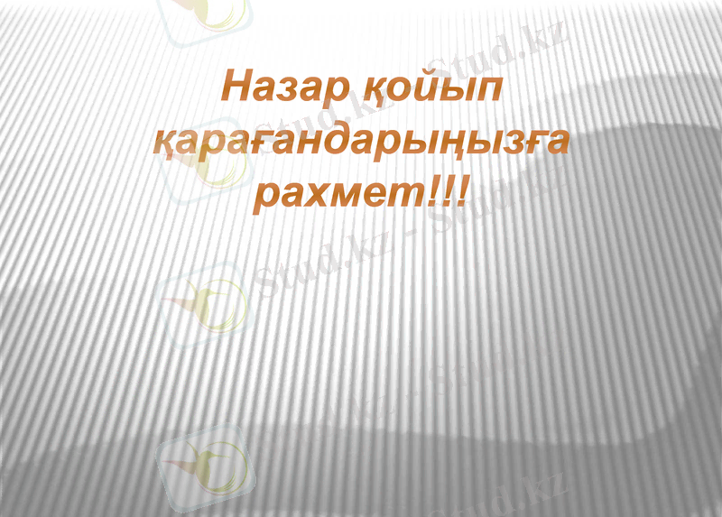 Slide 8
