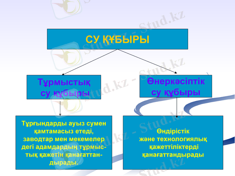 Slide 7