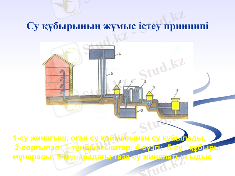 Slide 8
